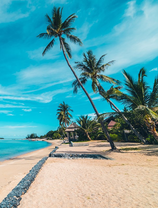 product-cover-caribe